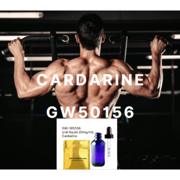 Venta caliente Sarms Polvo crudo Liquid Cardarine GW501516