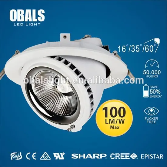 20w led ceiling light adjustable ce&rohs&saa RS-001 cob