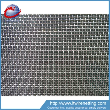 Competitive price protecting mesh,mesh motion inc