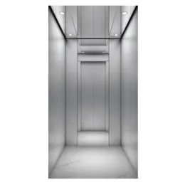 Modern design villa elevator