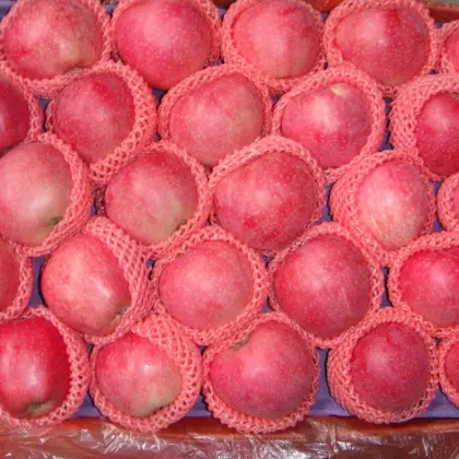 Fresh fruit red star apple