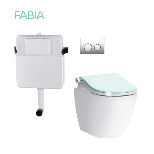 Intelligent Water Closet Floor Mounted Dual Flush Smart Toilet With Bidet Manufactory