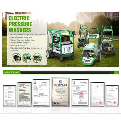 DANAU 6.6KW 3400PSI High Pressure Gas Water Cleaner