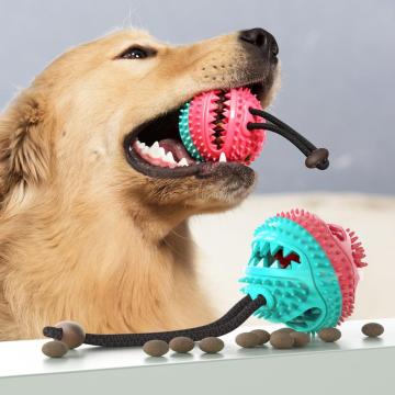 hot multifunctional pet feeder ball