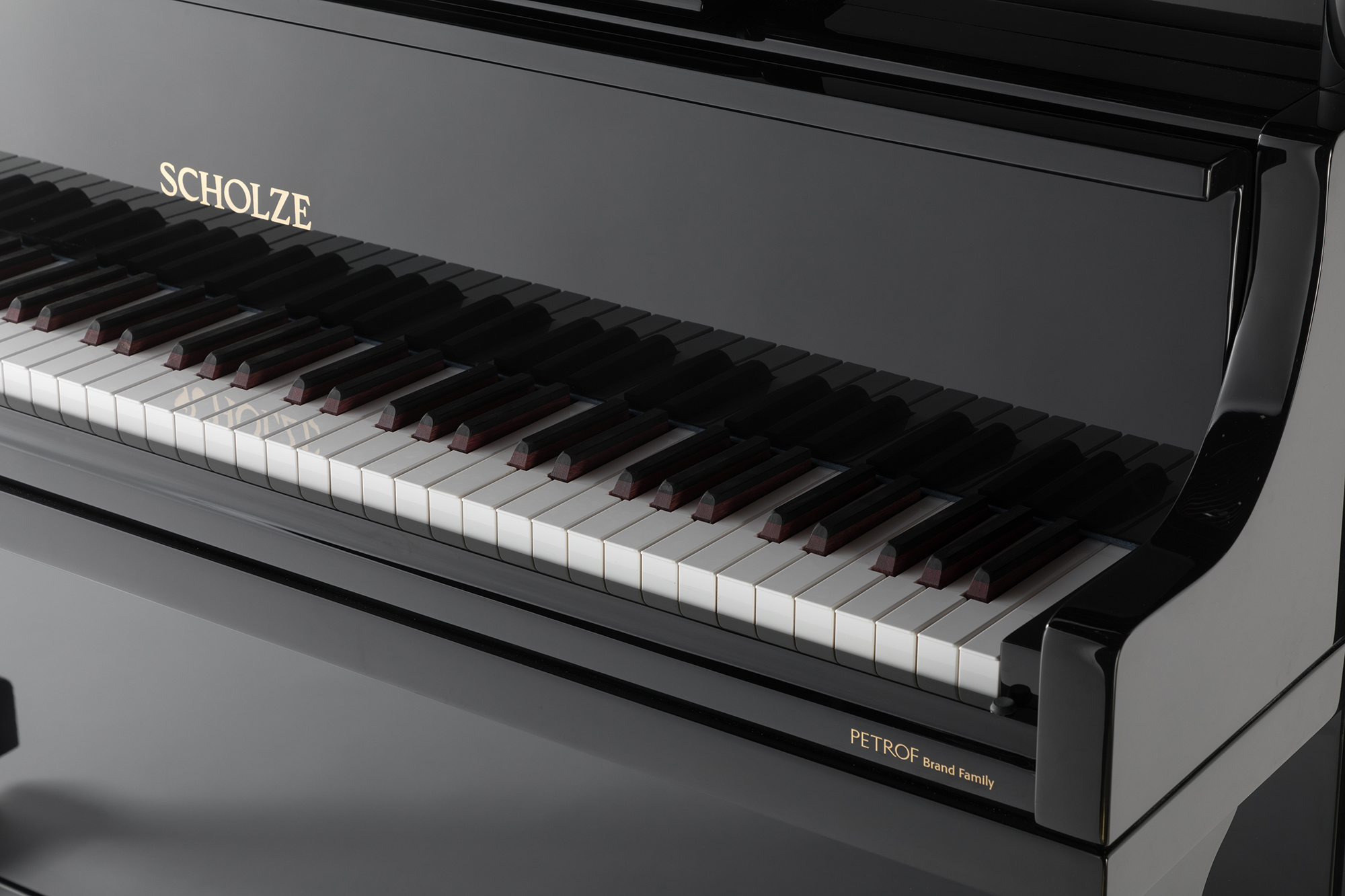 Petrof · Scholze NS-6D Piano Piano Black Placeed Profession