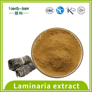 10% Laminaria -Extrakt Pulver Fucoidan