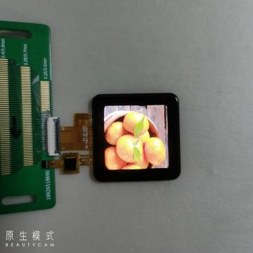 1.54 Inch TFT LCD Display