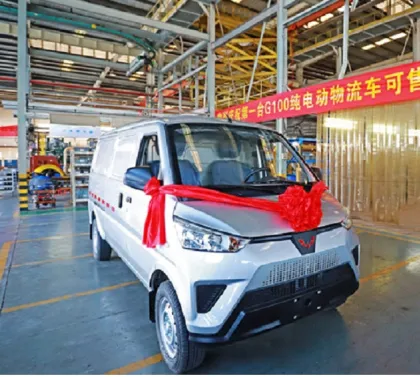 Wuling G100 Series New Energy Cargo Van - Mini Electric Van