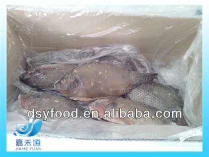 Frozen Black Tilapia