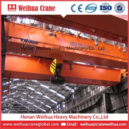 Anti-Sway Crane From Weihua