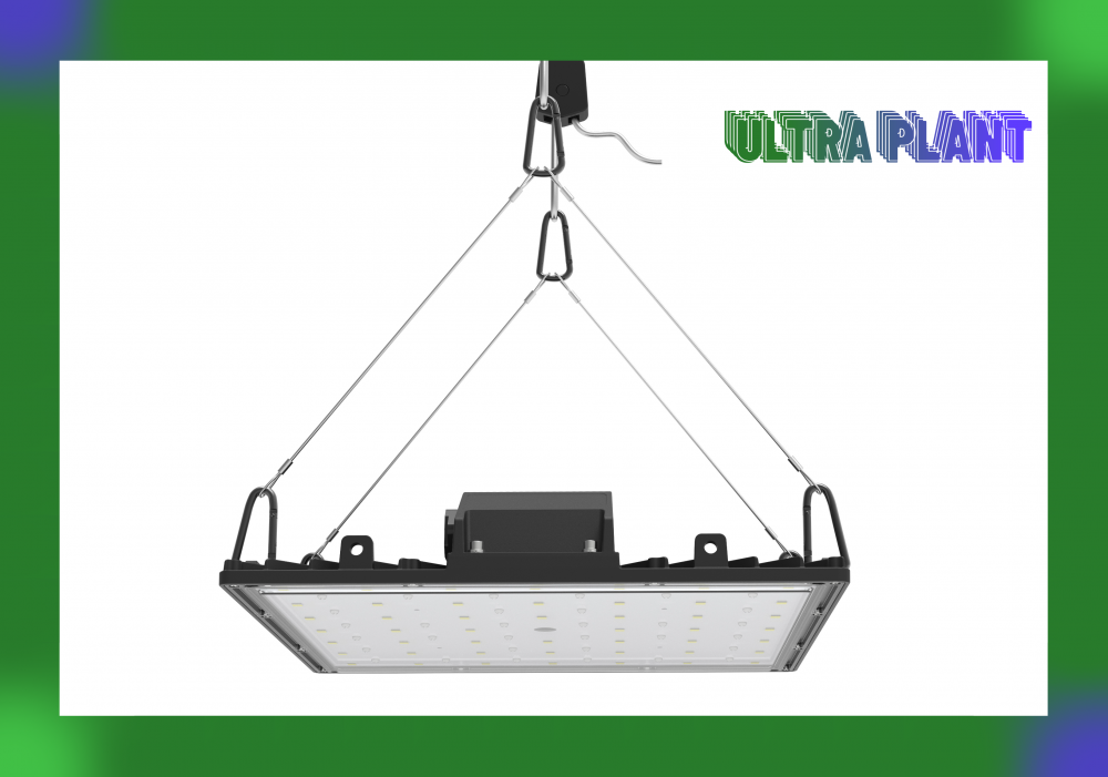 High Quality Vegetable Growth Light