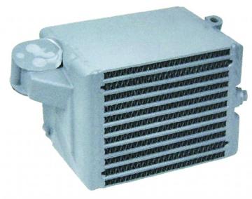 Per BF6L913 2233096 Deutz Cofrancitura dell'olio di raffreddamento ad aria
