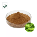 Mulberry Leaf Extract Chlorophyll of Flavonoids Powder