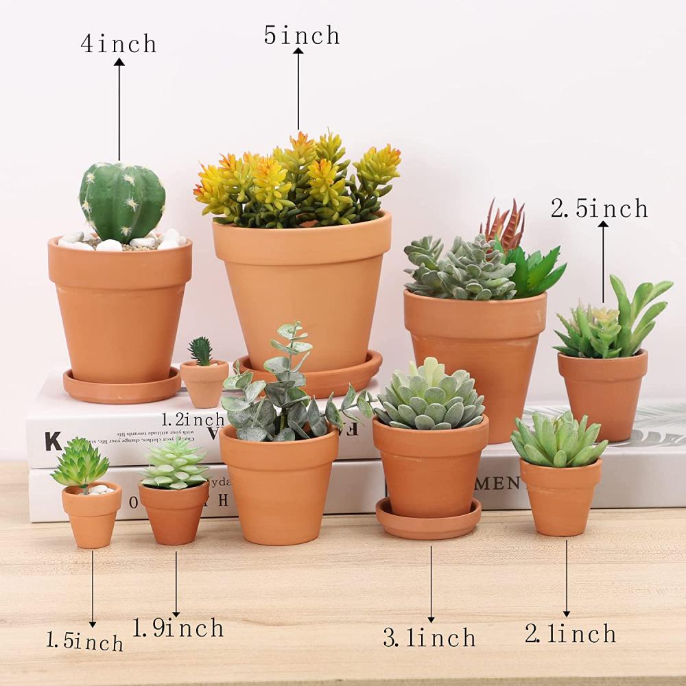 Plavier de poterie en argile de 5 pouces Pots de fleurs cactus