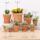 5 inch Clay Pottery Planter Cactus Flower Pots