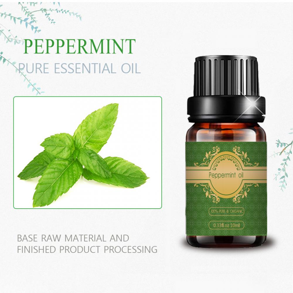 Alta qualidade Peppermint Essential Oil por atacado Preço em massa