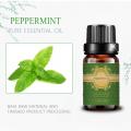 Alta qualidade Peppermint Essential Oil por atacado Preço em massa