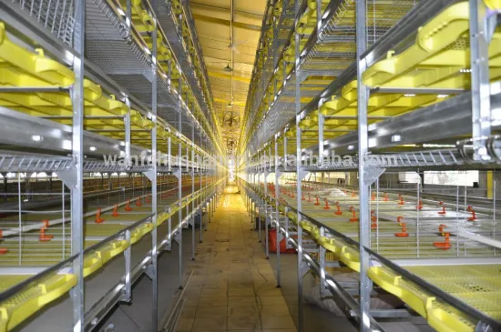 poultry farm broiler rooster cage