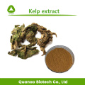 Kelp extract laminarin kelp poeder feed grade