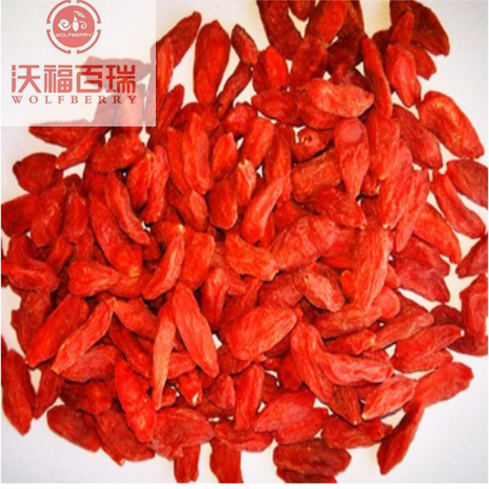 Wolfberry / Lycium Barbarum / nature taste goji berry