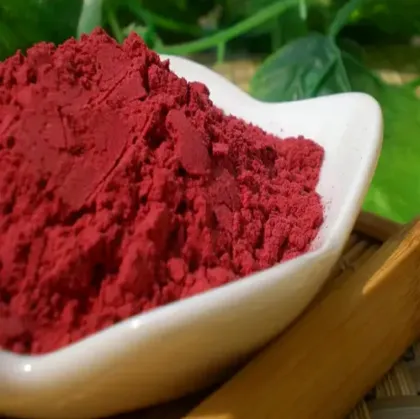 High Quality Red Rice Yeast Extract Powder