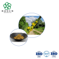 Agrimonia Pilosa Extract Natural Anti-inflammatory Powder