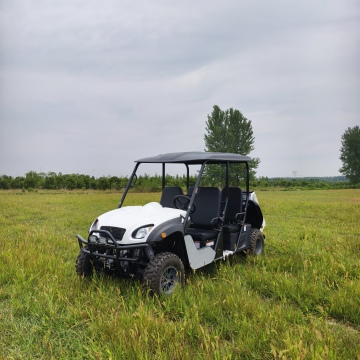 Affordable In-Stock Electric UTV 10kw 72v 4x4 for Adults