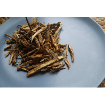 Premium Saposhnikovia Divaricata Extract for Immune Support Supplements