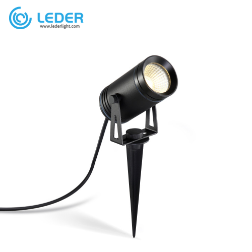 LEDER Hot Sale Outdoor 6W LED Spike Light