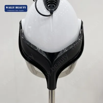 Wally Beauty High Speed Hair Dryer