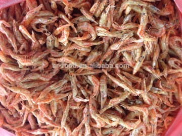 frozen dried baby flower shrimp