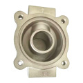 Oanpassing Stainless Steel Hinget Investment Castings