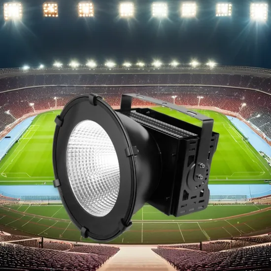 1000 Lumen 24V DC/220V AC LP66 Waterproof Outdoor Explosion Proof Round Flood Light for Soccer Field