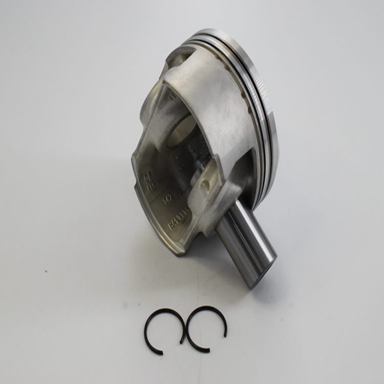 Piston And Piston Ring