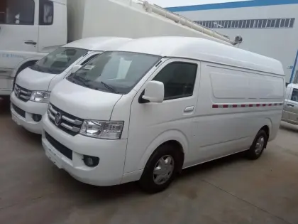FOTON 4x2 frozen vans