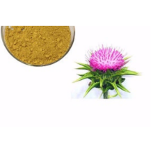 Organic Approved Milk Thistle Extract Silymarin Powder