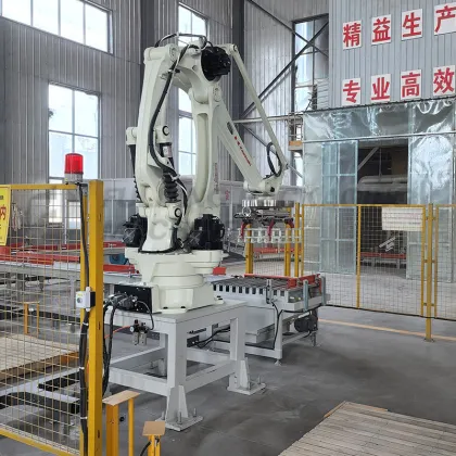 ABB Estun Palletizer Stacking Machine for Cement Bags and Carton Cases