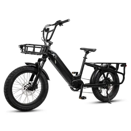 Mario Ebike 250w Fat Tire Electric Cargo Family City Road Bike