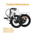 48V500W 20'' Step-Through Fat Tire Folding Electric Tricycle