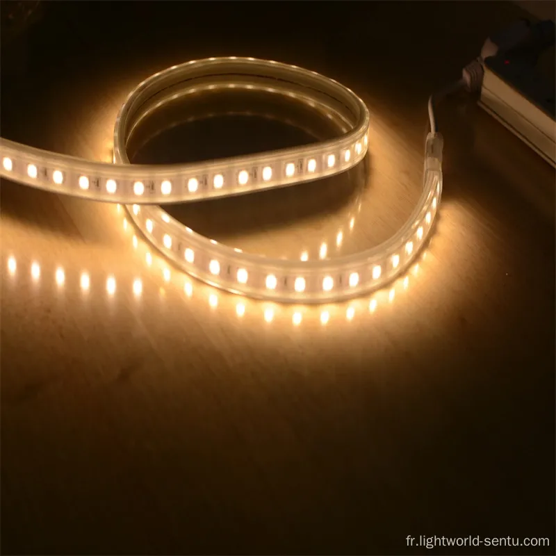 AC230V SMD5050 LED STRIP avec CE ROHS