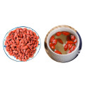 Qinghai-Tibet Kökenli %100 Organik Goji Berry