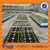 adult battery car 12v40ah car battery wholesale electric bike battery