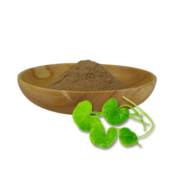 Triterpene Gotu Kola Extract Powder in kosmetischer Qualität