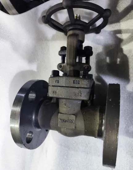 1-1/2" 300LB F5 Gate Valve