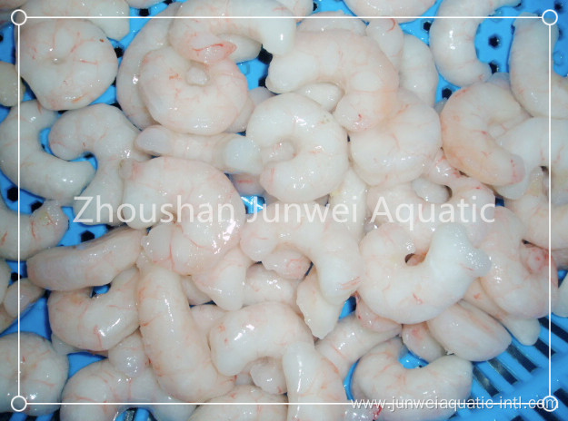 fresh frozen shrimp for sale