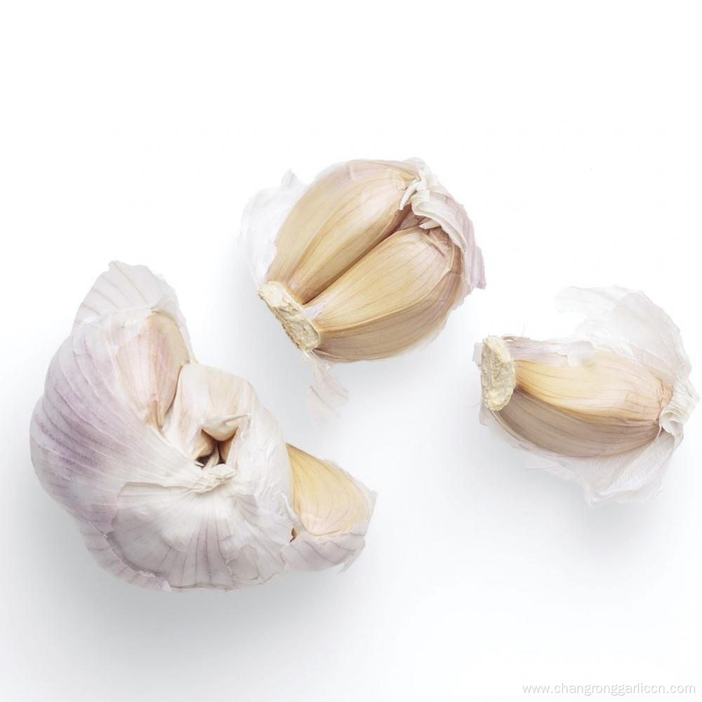 Hot Sale Best White Garlic Seeds