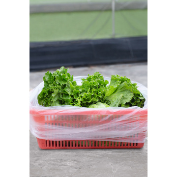 Disposable Fresh Food Storage Plastic Flat Bag