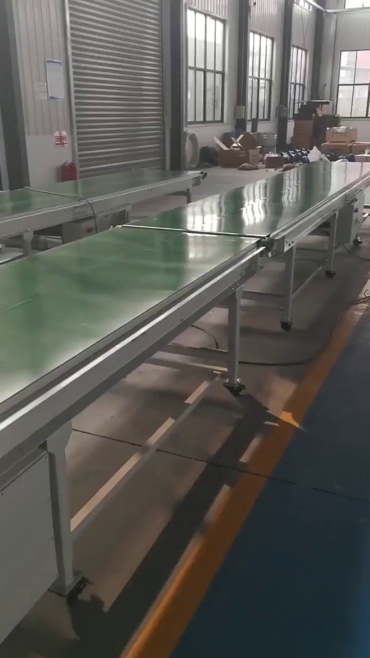 Food and Seafood Conveyor Belt System