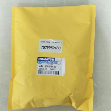 PC300-7 Excavator Boom Cylinder Repair Kit 707-99-59480