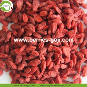 Factory Supply Fruits Nutrition Koop Goji Berry